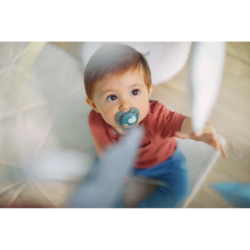 Philips Avent Ultra Soft Soother (6-18 أشهر) عبوة من قطعتين